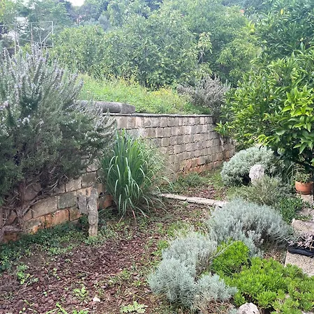 Forteca - Centre דירה קורצולה